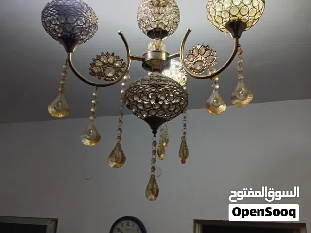زوزو تريات للبيع
