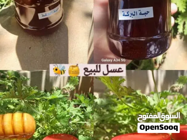 كافة أنواع العسل الطبيعي الاكسترا 100٪