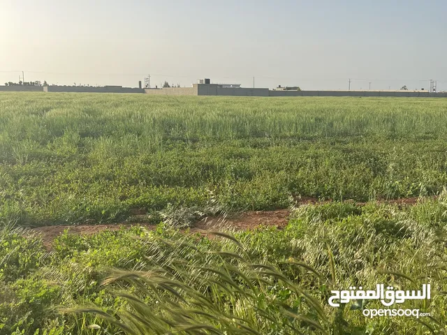 Mixed Use Land for Sale in Benghazi Bu Hadi