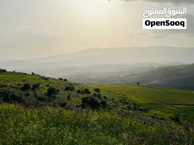 Mixed Use Land for Sale in Jerash Unaybah