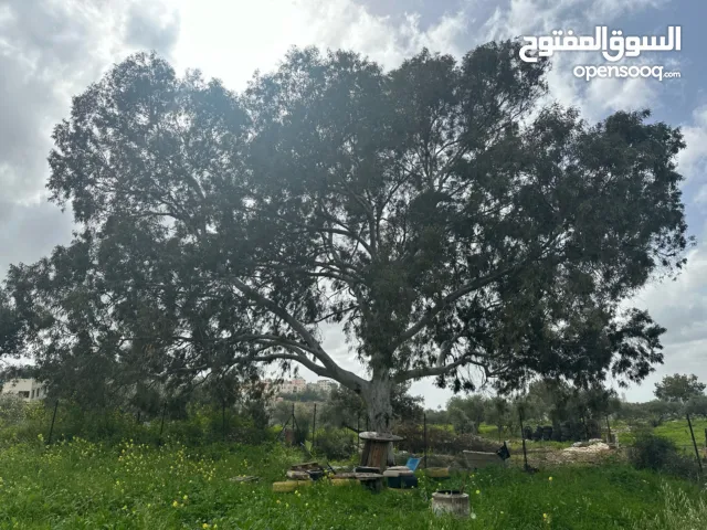 Mixed Use Land for Sale in Tulkarm Far'un