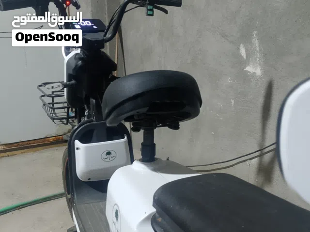 2025 ياماها Raider