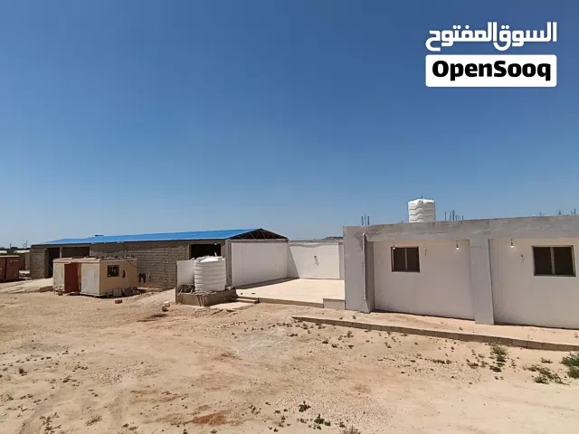 نص هكتار النواقيه حي سنغافوره