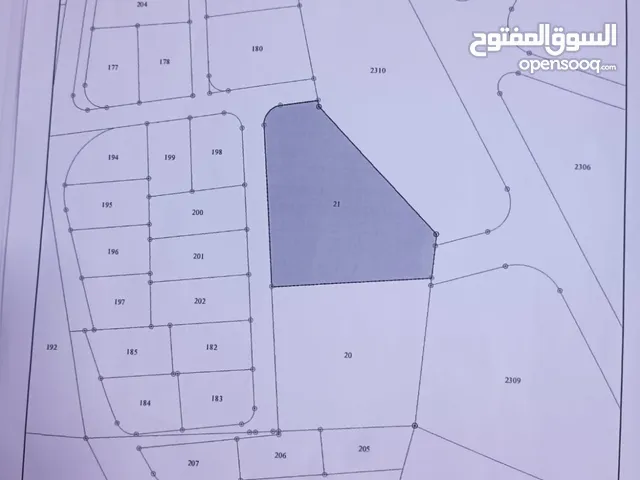 ارض سكنية المساحة 4300 متر مربع سكن (ب)- الطنيب- حوض البلد بالقرب من شارع ال 100