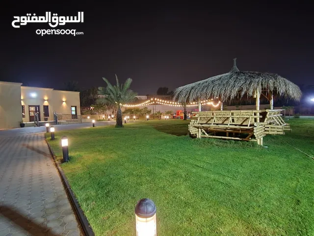 5000 m2 2 Bedrooms Apartments for Rent in Ajman Al Helio