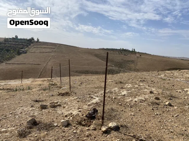 ارض سكنية ب دليلة الحمايده، عند مصنع الصافي للألبسة ، للبيع كاش او البدل على ارض