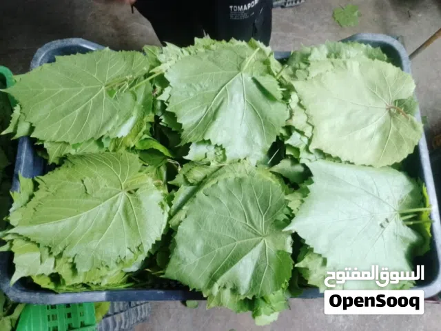 دوالي امريكي مطعم بلدي توصيل داخل الزرقاء فقط