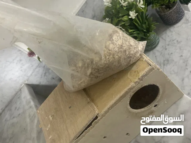 بيت بيضه للبيع و العش للبيع