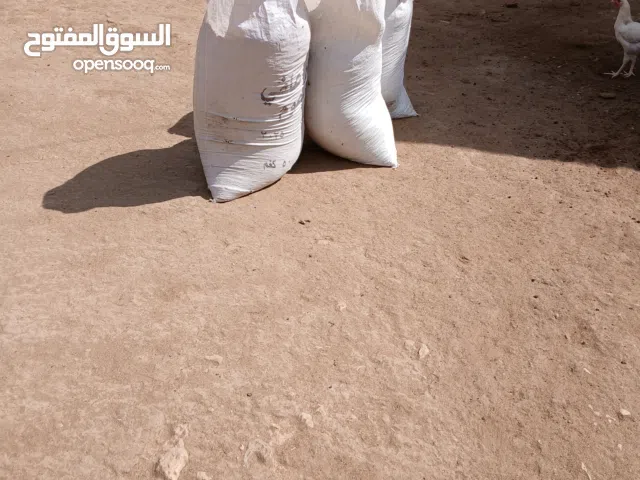 زبل غنم للبيع