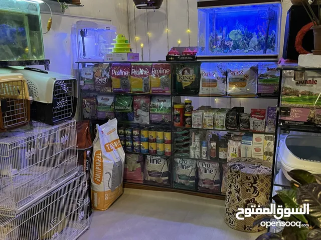 متوفر في محلي جميع مستلزمات القطط والحيونات الاليفه