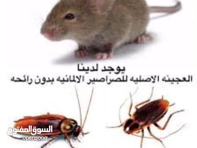 مكافحه الحشرات