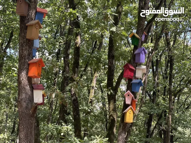 خدمة حصد عشب المنازل والحدايق والاسترحات