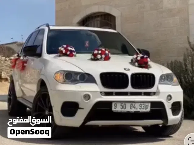 2011 BMW X5 Series X5 xDrive50e
