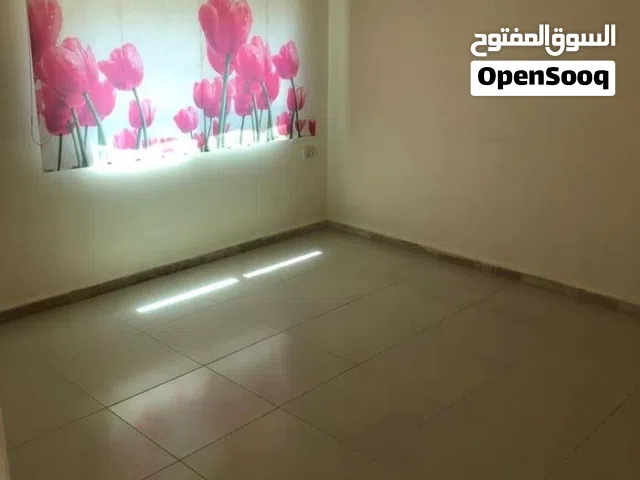 استديو فارغ فاخر  الايجار