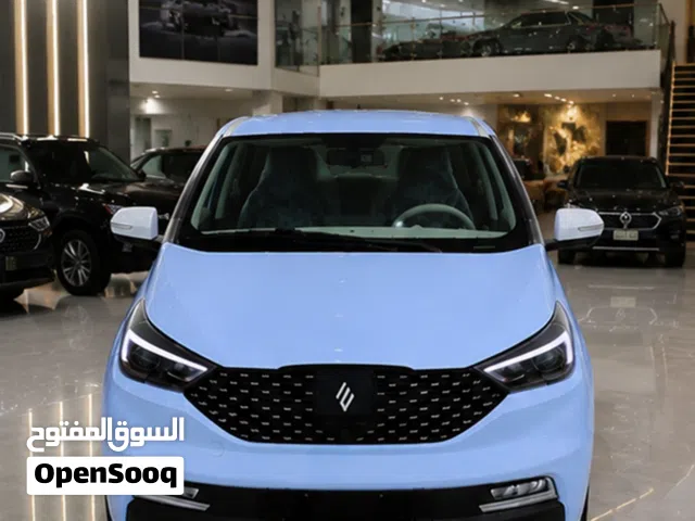 2026 جاي ام اي في EV3
