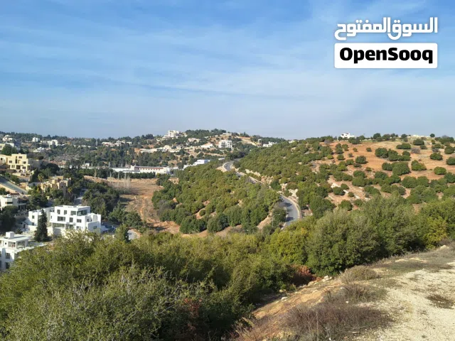Residential Land for Sale in Amman Dabouq