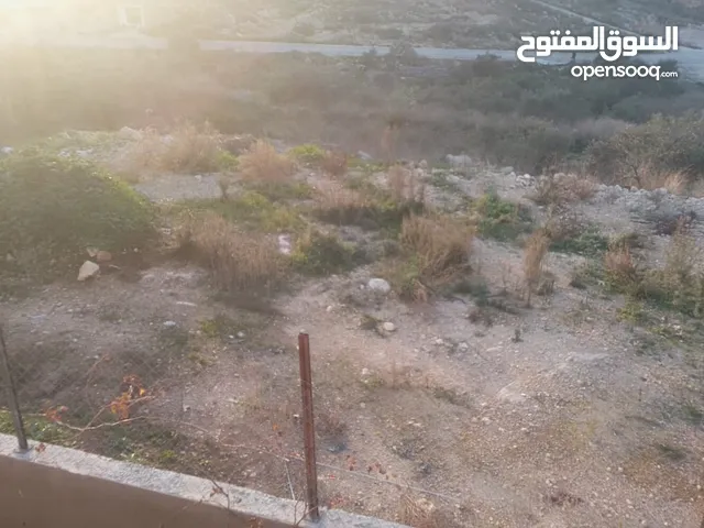 ارض للبيع في بلدة فرعون طولكرم