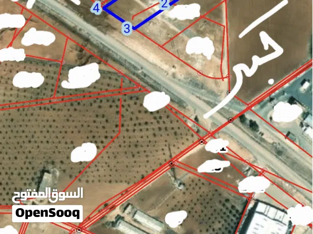 Farm Land for Sale in Irbid An-Nuayyimah