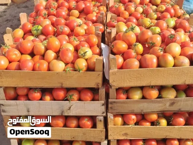 فواكه وخضروات طازة بالجمله