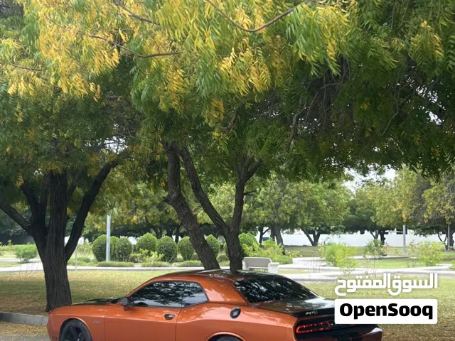 Used Dodge Challenger in Al Batinah