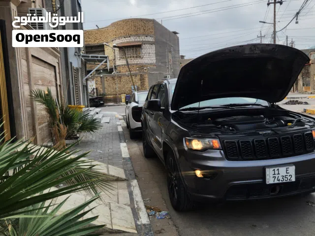 2020 جيب اخرى