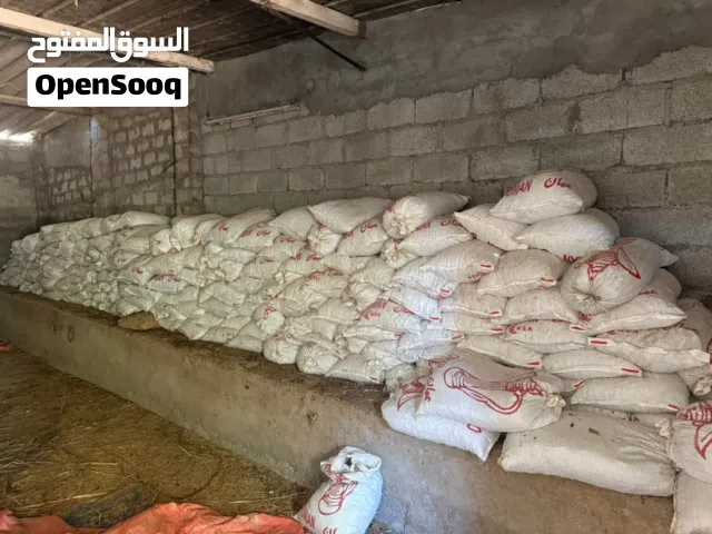 تمر نظيف جدا صالح للحيوان