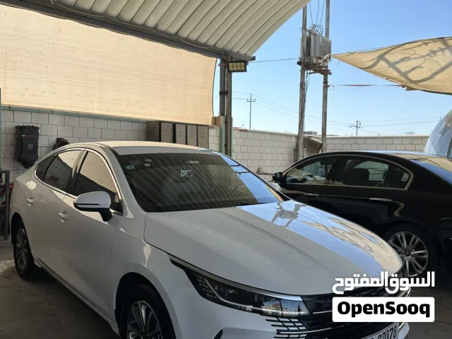 2025 بي واي دي ديستروير