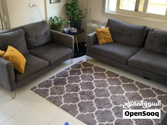 تخم قنفات تركي
