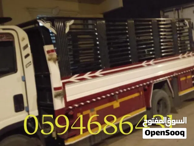 عمال تحميل يوجد دينا دنه نقل مجالس