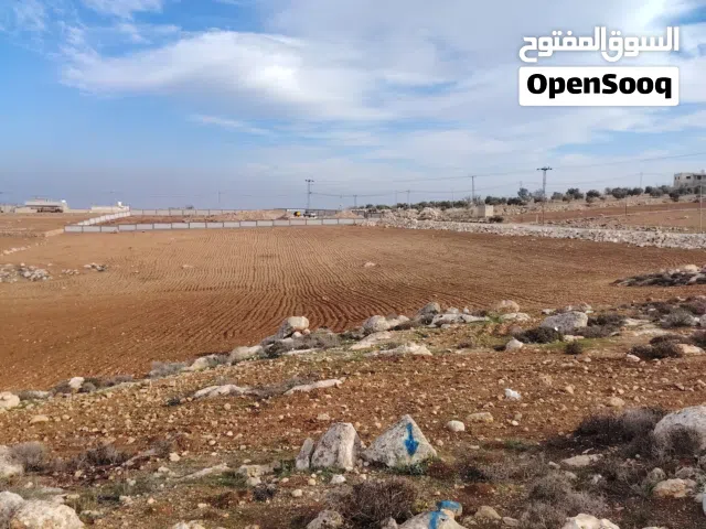 Farm Land for Sale in Jerash Marsa'