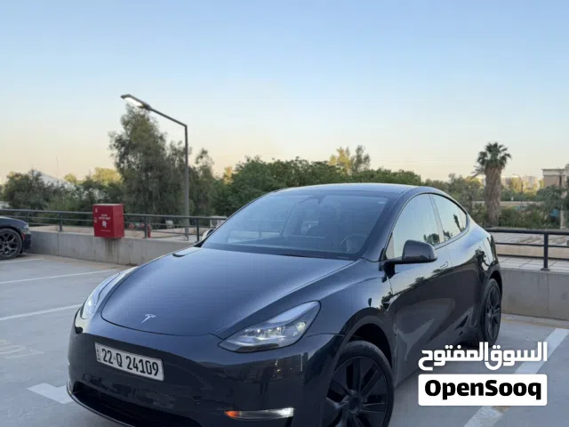 2025 Tesla Model Y Performance