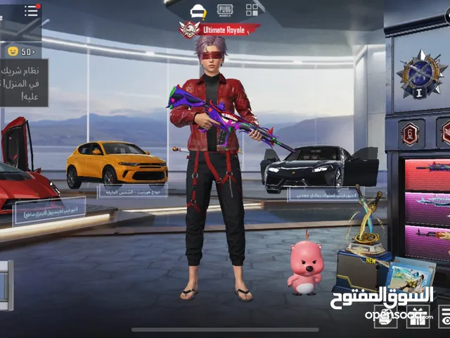Pubg Accounts and Characters for Sale in Amman