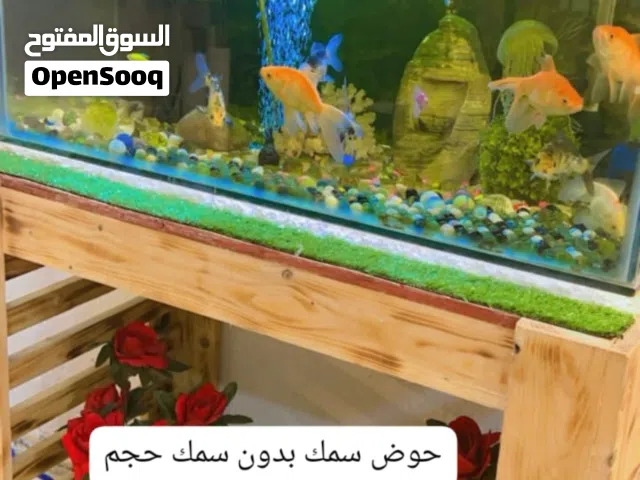حوض سمك مع اسماك 6