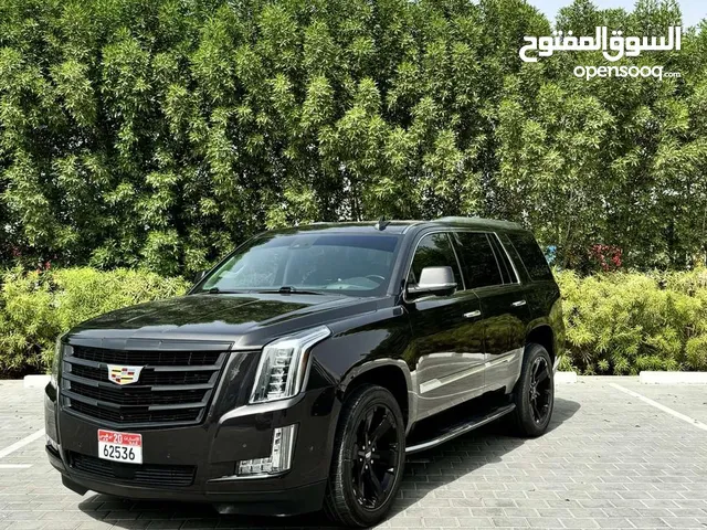 Used Cadillac Escalade in Sharjah