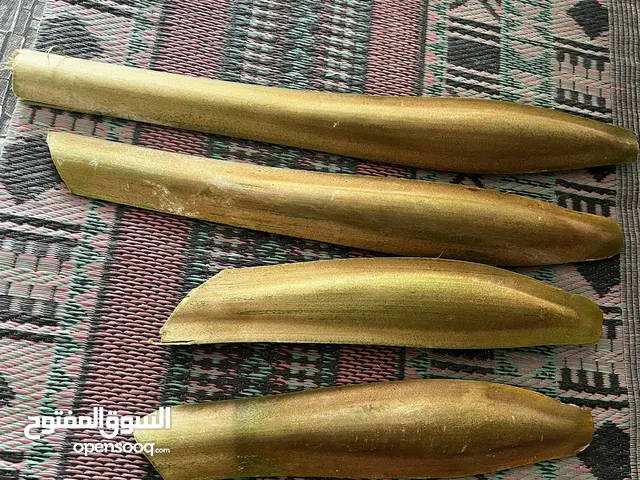 ايكيا ساق البامبو : نبات البامبو ايكيا : البامبو ايكيا في عُمان