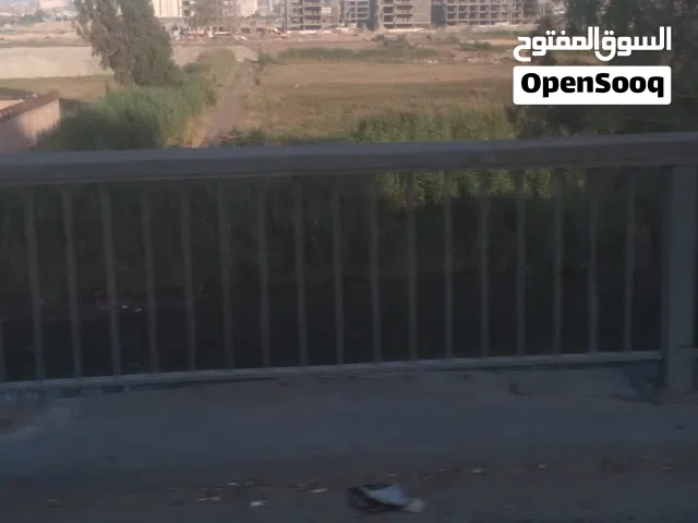 Residential Land for Sale in Alexandria Smoha