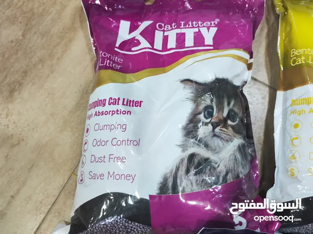 تراب قطط مميز كيتي