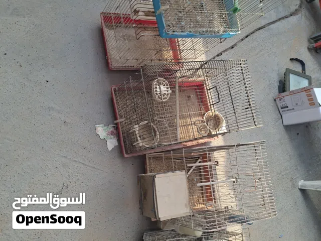 اقفاص للبيع جمله