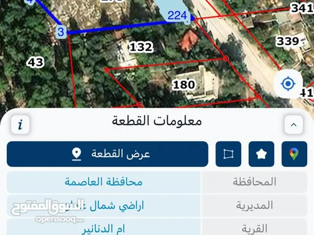 Residential Land for Sale in Amman Umm A-Dananir