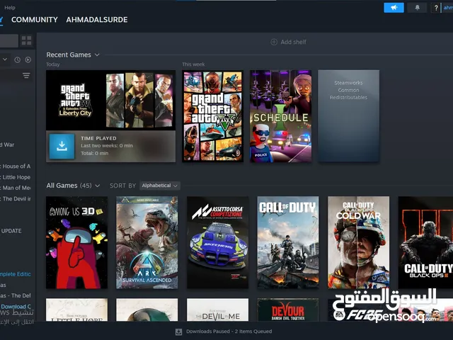 Steam Accounts and Characters for Sale in Irbid