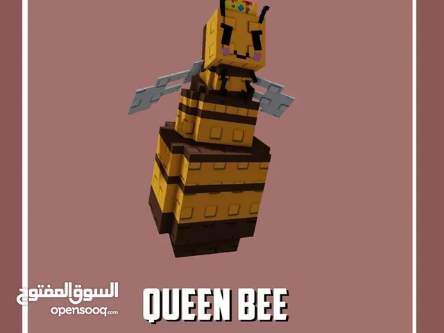 بتات جرو اجاردن للبيع اخطبوط كوين بيي دراغون فلاي