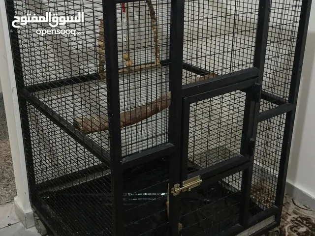 قفص  ببغاء  كاسكو أو مكاوي تفصيل متحرك بعجال  حجم كبير وثقيل وشي مرتب