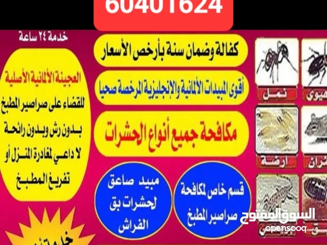 مكافحة الحشرات والقوارض بدون مغادرة المنزل وارخص الأسعار جميع مناطق الكويت خدمه 24 ساعه