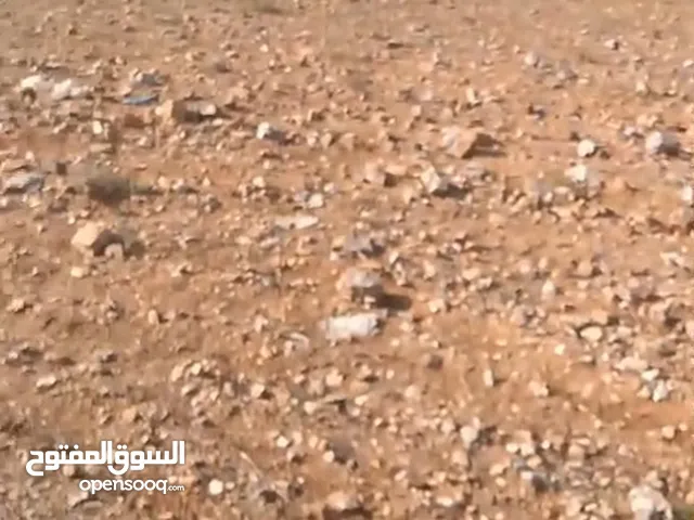 Farm Land for Sale in Madaba Al-Faisaliyyah