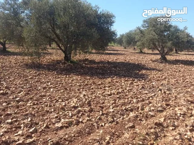Farm Land for Sale in Jerash Other