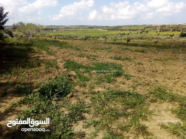 Mixed Use Land for Sale in Tunis Other