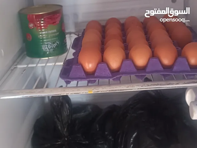 Vestel Refrigerators in Basra