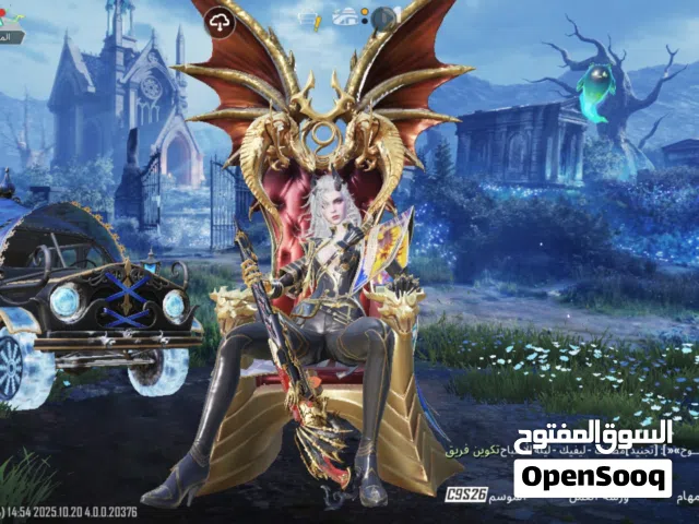 حسابات ببجي مرتب مشحون بيه هواي