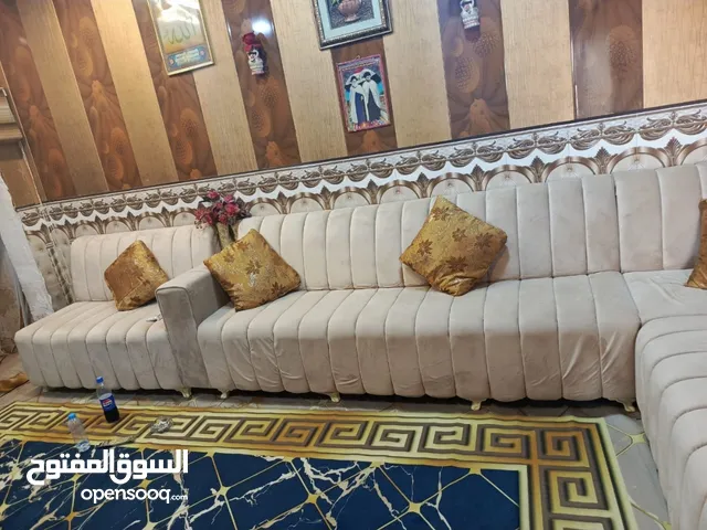 تخم قنفات للبيع