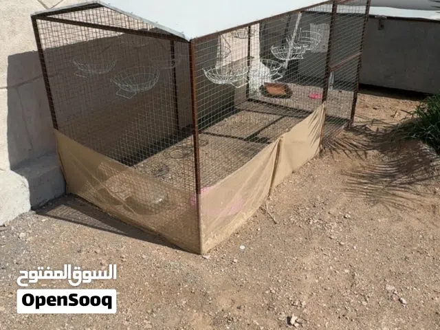 تانكي وقفاصه لدجاج و الحمام